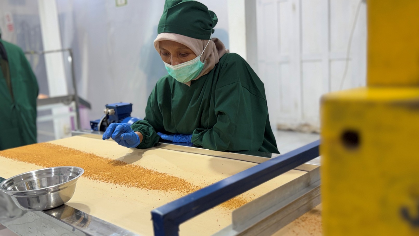 Apa Perbedaan Gula Semut Organik Dengan Gula Biasa?